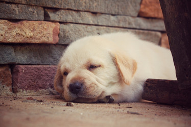 Similar image 9008737