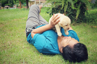 Similar image 9008742