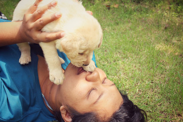 Similar image 9008744