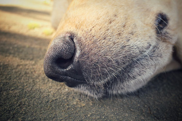 Similar image 9008774