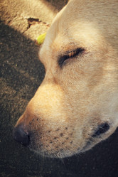 Similar image 9008777