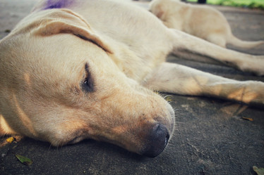 Similar image 9008794