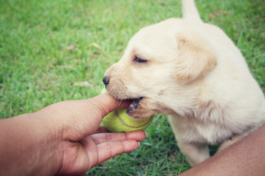 Similar image 9008796