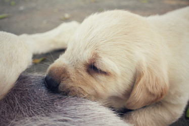 Similar image 9008798