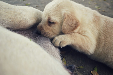 Similar image 9008800