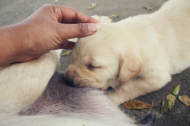 Similar image 9008803