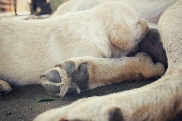 Similar image 9008805