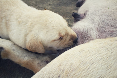 Similar image 9008809