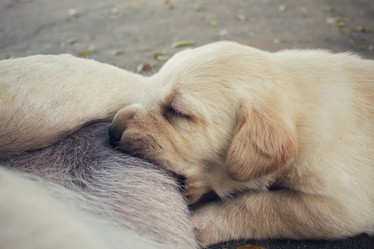 Similar image 9008810