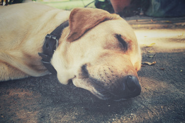 Similar image 9008813