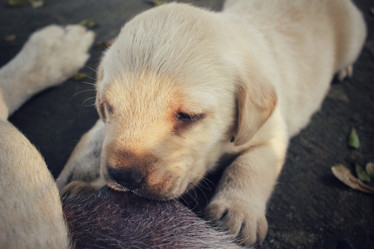 Similar image 9008833