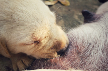 Similar image 9008835