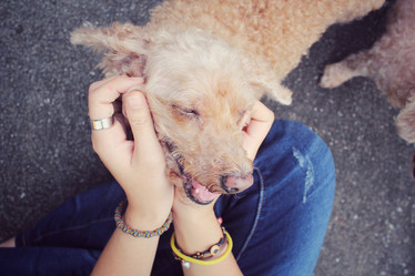 Similar image 9008837