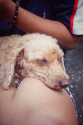 Similar image 9008839