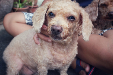 Similar image 9008842