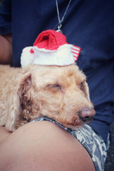 Similar image 9008844