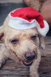 Similar image 9008850