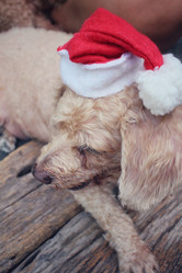 Similar image 9008853