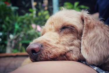 Similar image 9008856