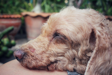 Similar image 9008859