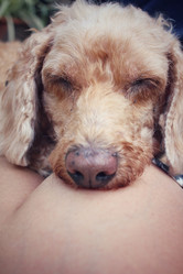 Similar image 9008862