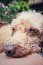 Similar image 9008867