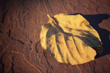 Similar image 9008869