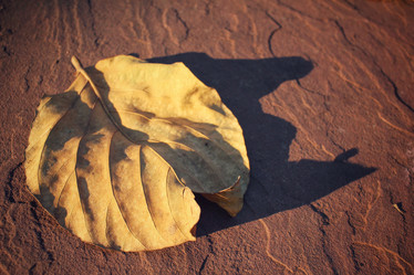 Similar image 9008872