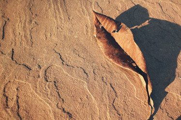 Similar image 9008877