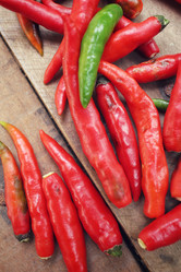 Similar image 9008970