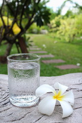 Similar image 9010525