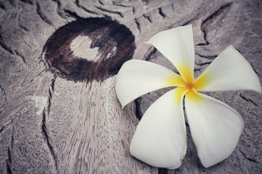 Similar image 9010958