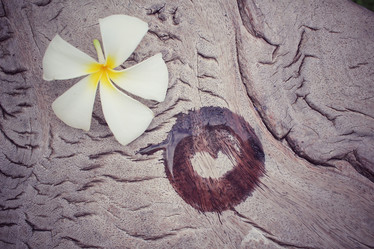 Similar image 9010960