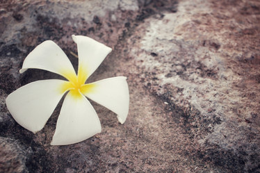 Similar image 9011026