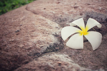 Similar image 9011029