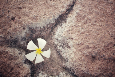 Similar image 9011033