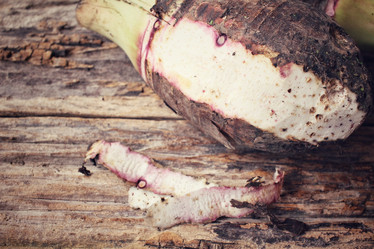 Similar image 9011184