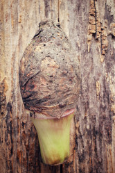 Similar image 9011187