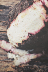 Similar image 9011194