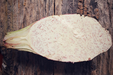 Similar image 9011210