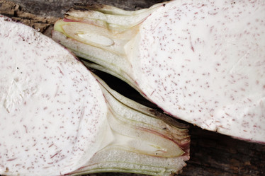 Similar image 9011212