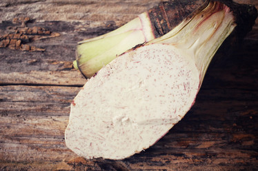 Similar image 9011254