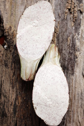 Similar image 9011255