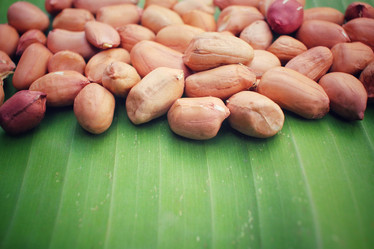 Similar image 9011642