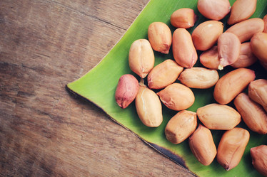 Similar image 9011646