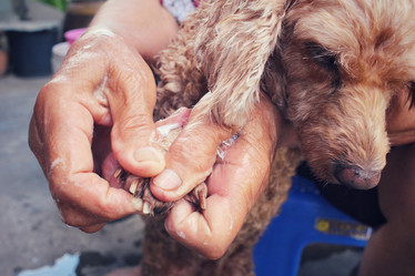 Similar image 9011660