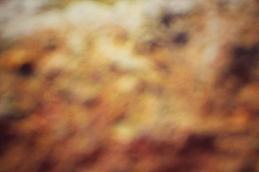 Similar image 9011661