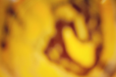 Similar image 9011667