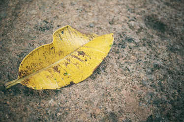 Similar image 9011671