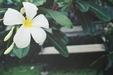 Similar image 9011686